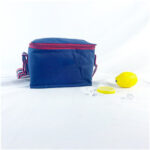 Reusable Large Insulated Durable Cooler Lunch Bag-Gusta-CB001